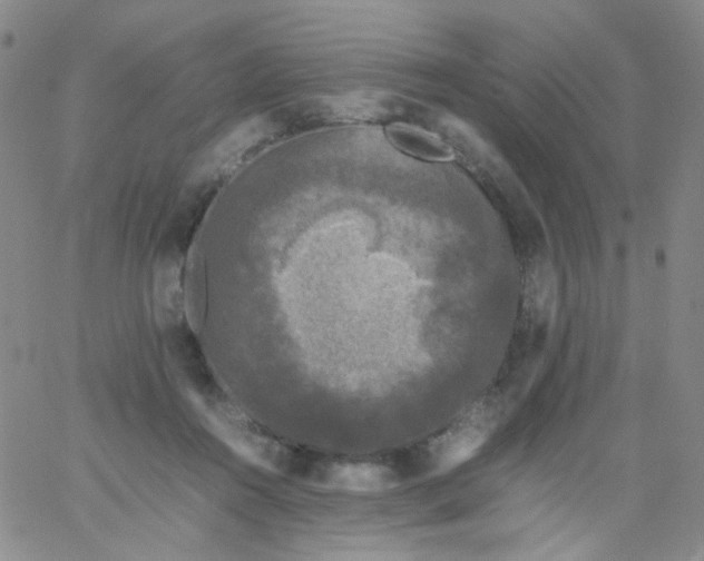 X0000061760360200512231557