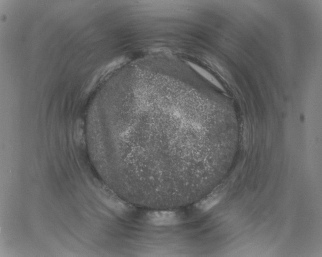 X0000061760361200512231557