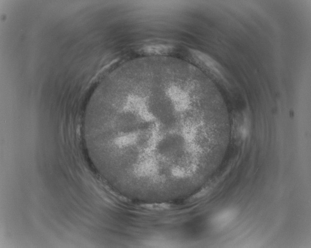 X0000061760363200512231557