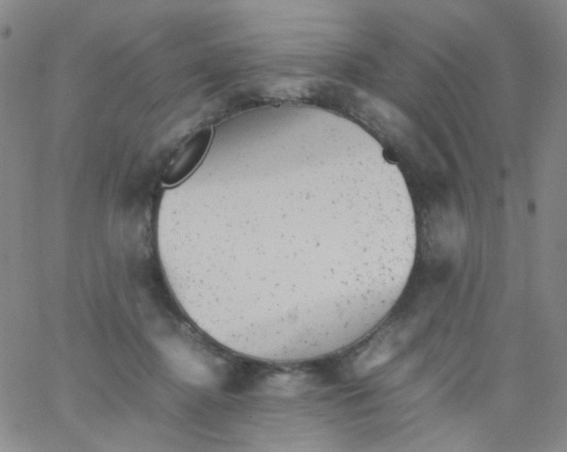 X0000061760364200512231557