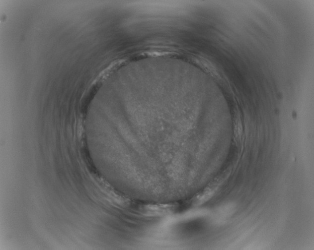 X0000061760367200512231557