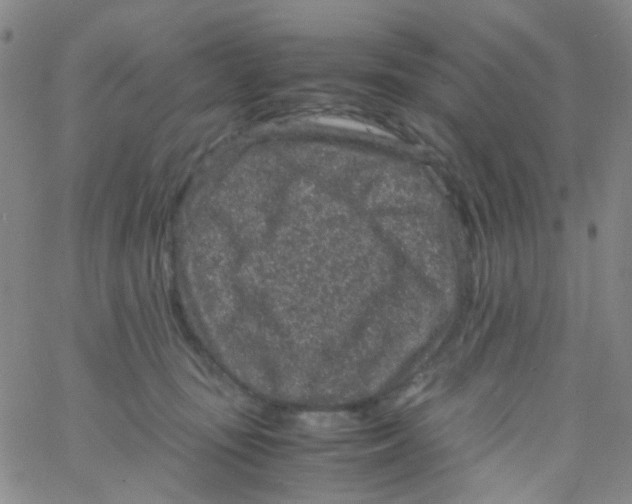 X0000061760371200512231557