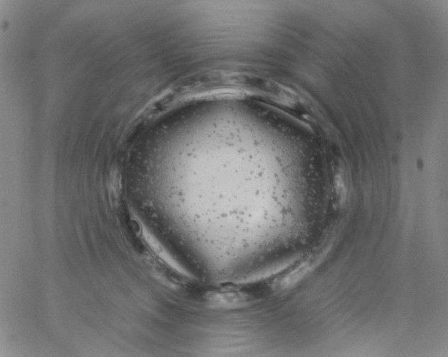 X0000061760372200512231557