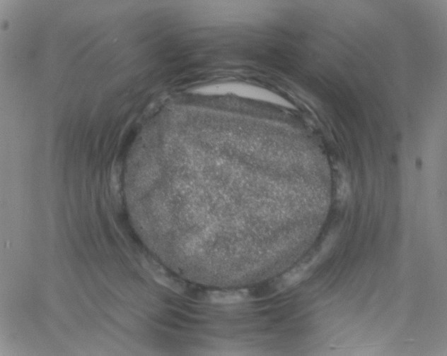 X0000061760373200512231557