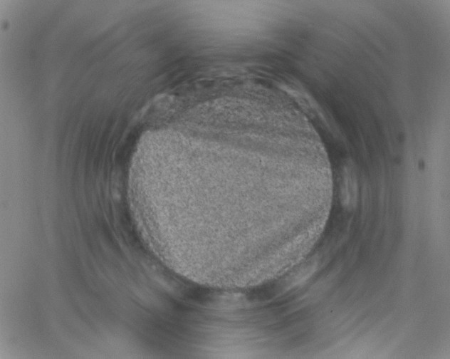 X0000061760374200512231557