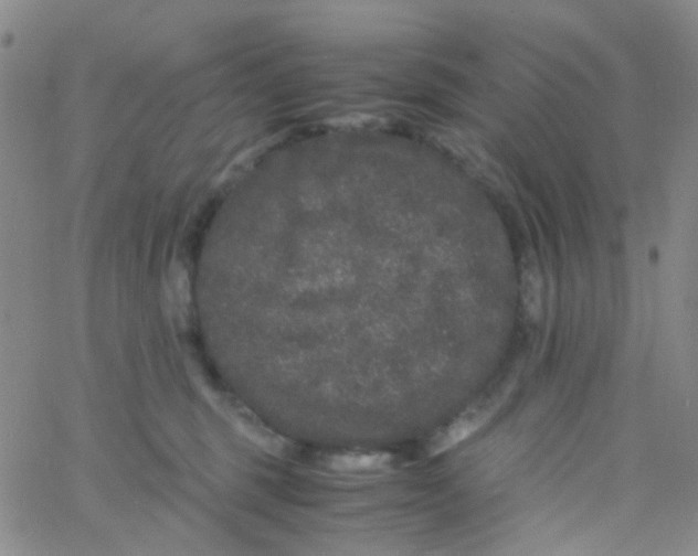 X0000061760375200512231557