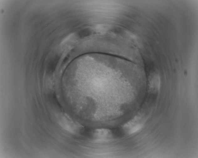 X0000061760376200512231557