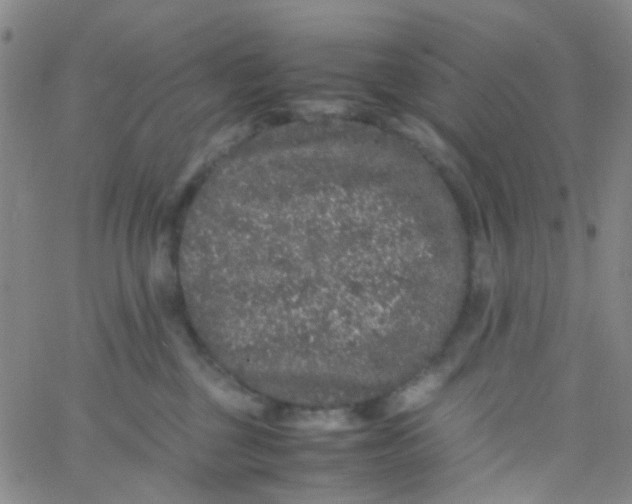 X0000061760377200512231557