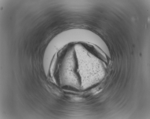 X0000061760380200512231557