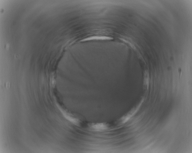 X0000061760383200512231557