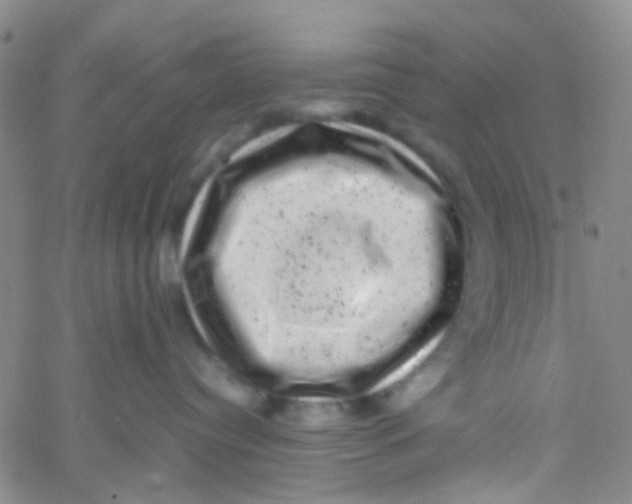 X0000061760384200512231557