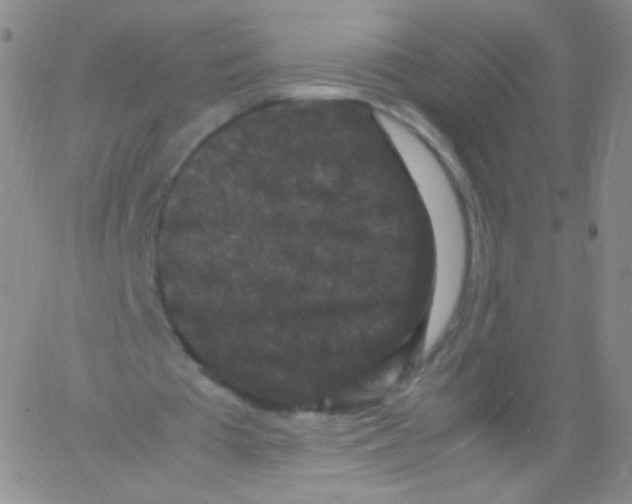 X0000061760385200512231556