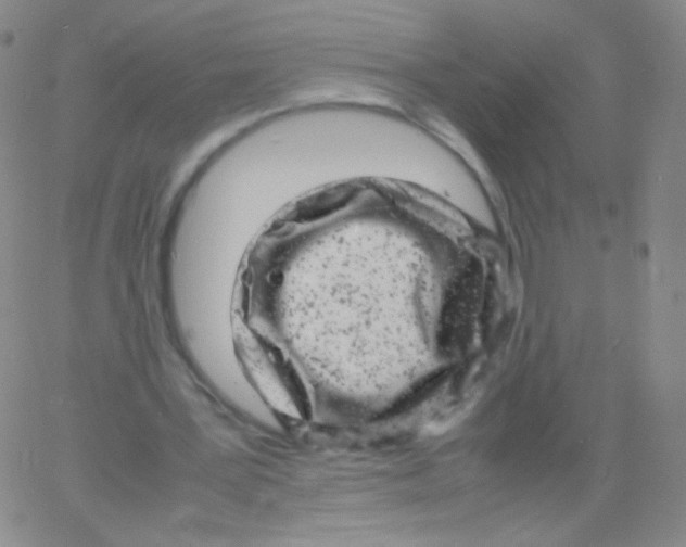 X0000061760387200512231556