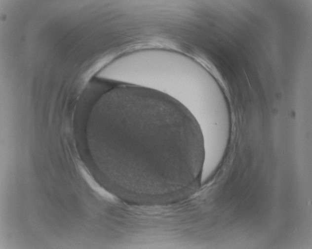 X0000061760389200512231556