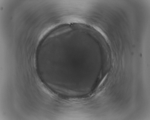 X0000061760391200512231556