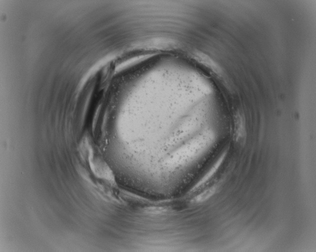 X0000061760392200512231556