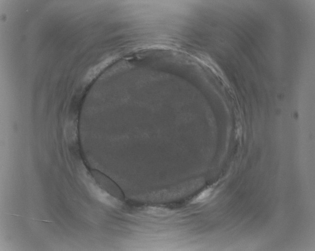 X0000061760393200512231556