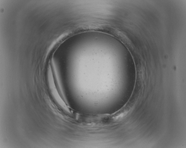 X0000061760395200512231556