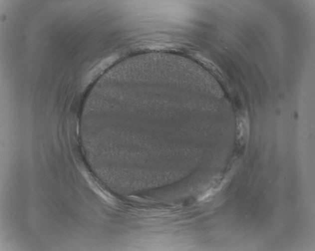 X0000061760397200512231556