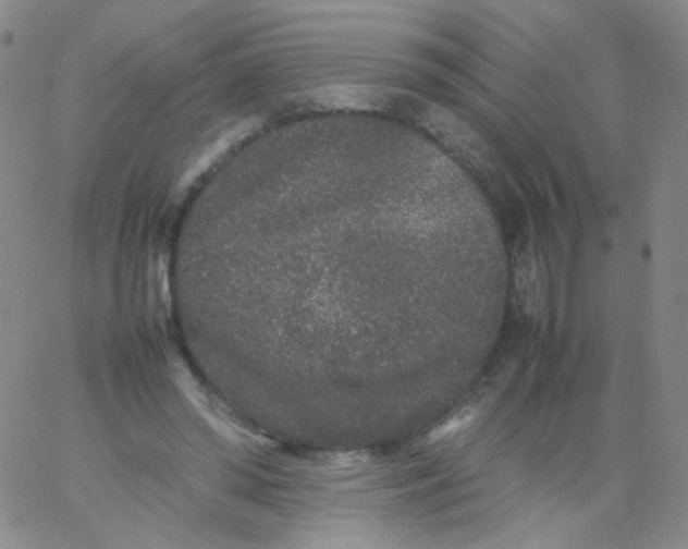 X0000061760398200512231556