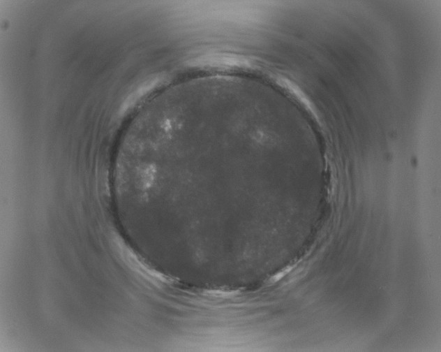 X0000061760399200512231556