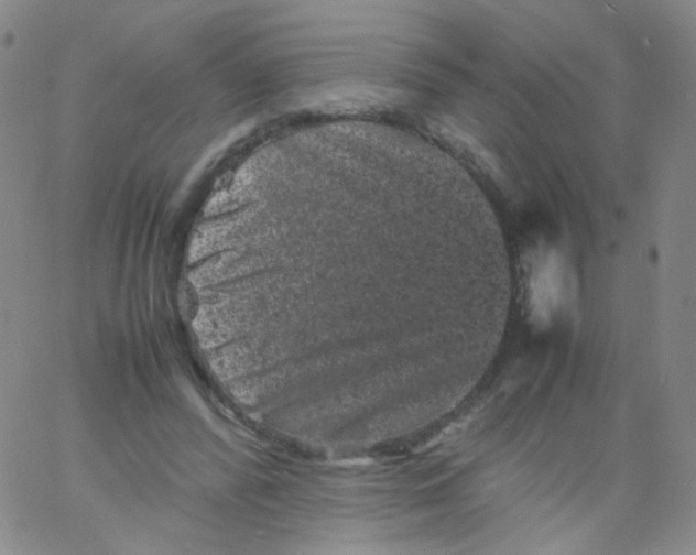 X0000061760400200512231556