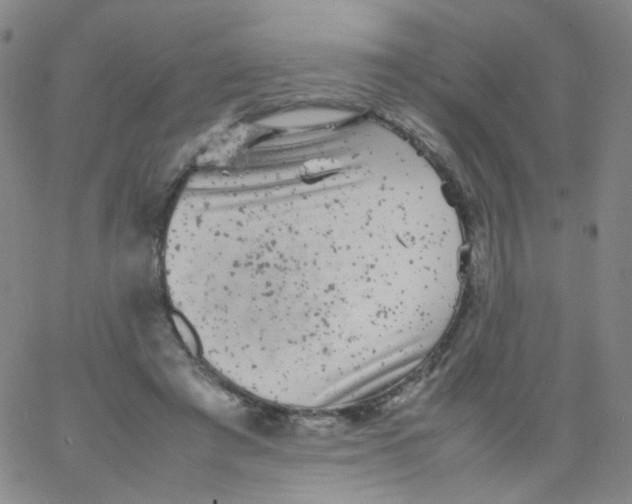 X0000061760401200512231556