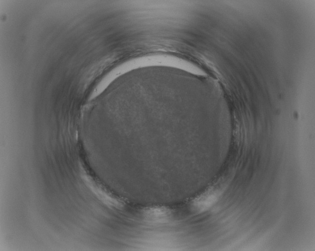 X0000061760402200512231556