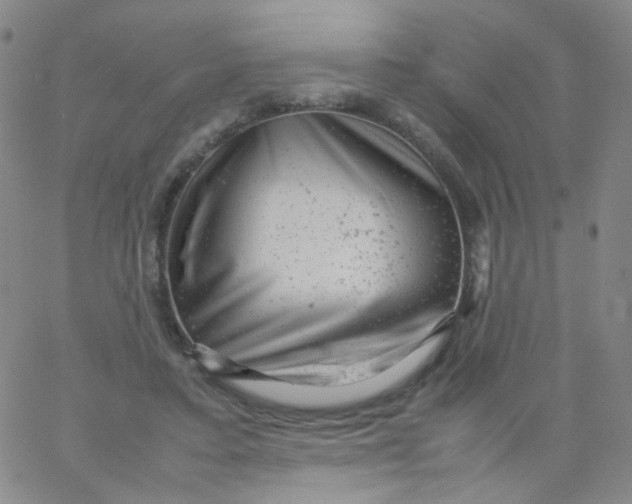 X0000061760403200512231556