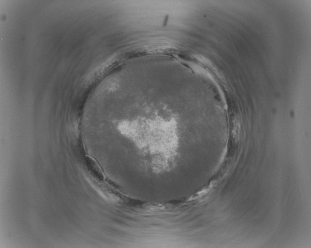 X0000061760405200512231556