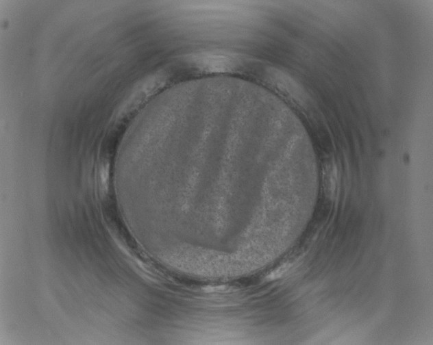 X0000061760406200512231556