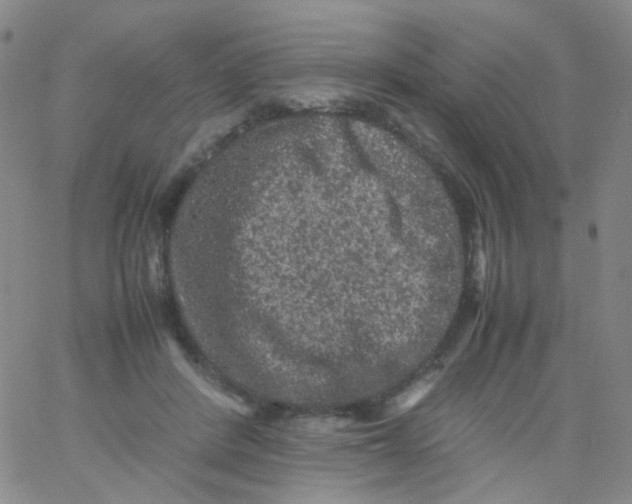 X0000061760408200512231556