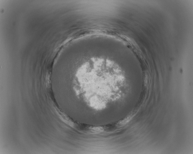 X0000061760409200512231556