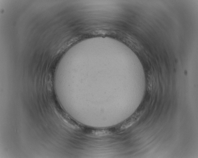 X0000061760414200512231556