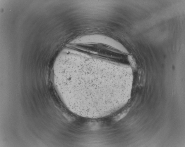 X0000061760416200512231556