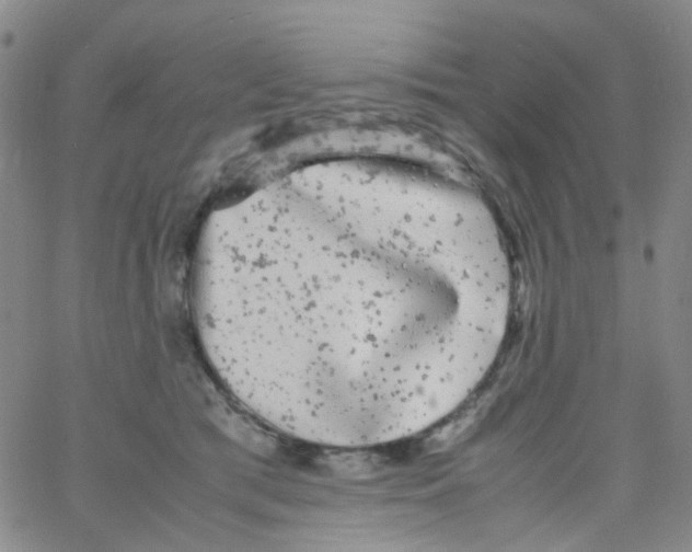 X0000061760417200512231556