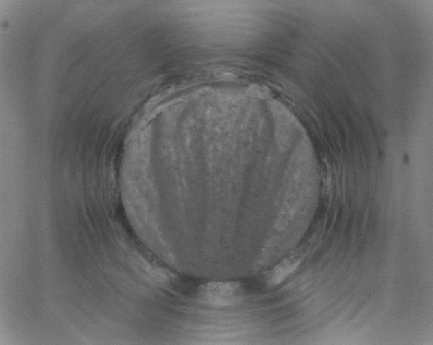 X0000061760418200512231556