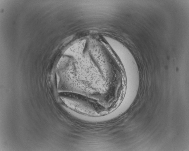 X0000061760419200512231556