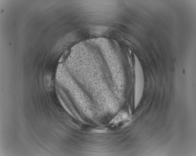 X0000061760420200512231556