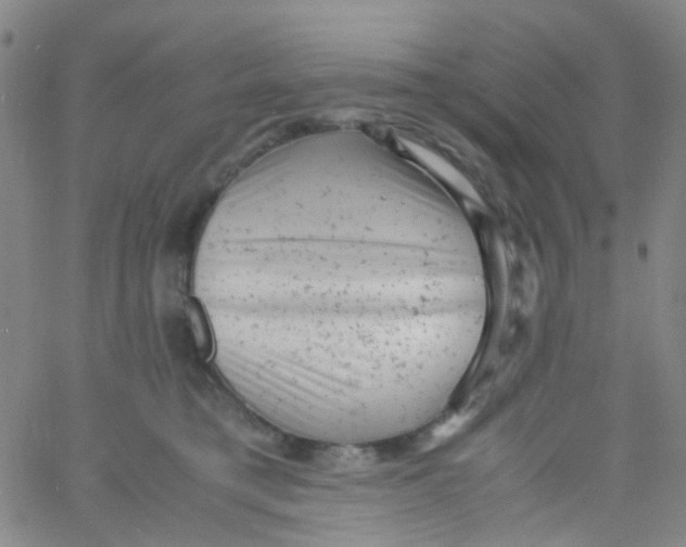 X0000061760421200512231556