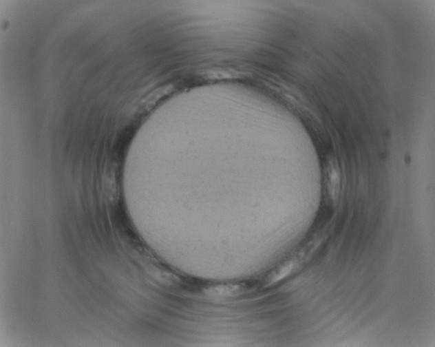 X0000061760422200512231556