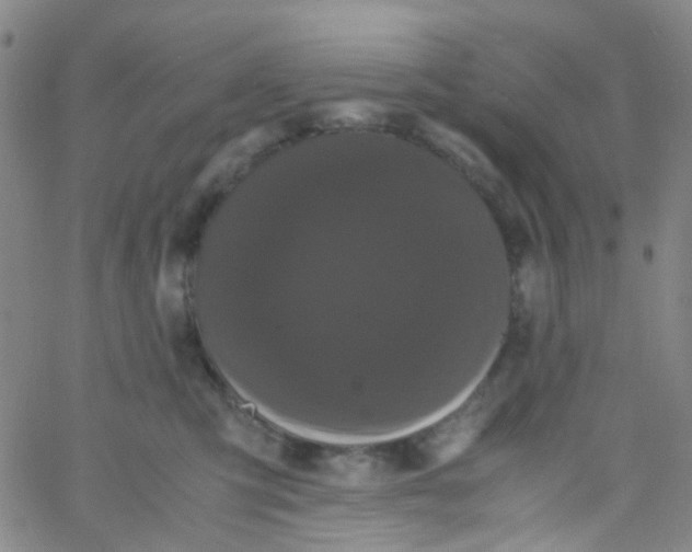 X0000061760423200512231556