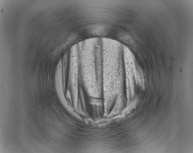 X0000061760424200512231556