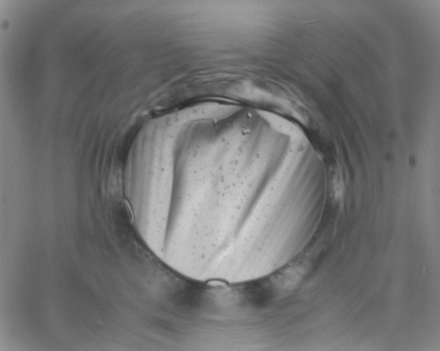 X0000061760425200512231556