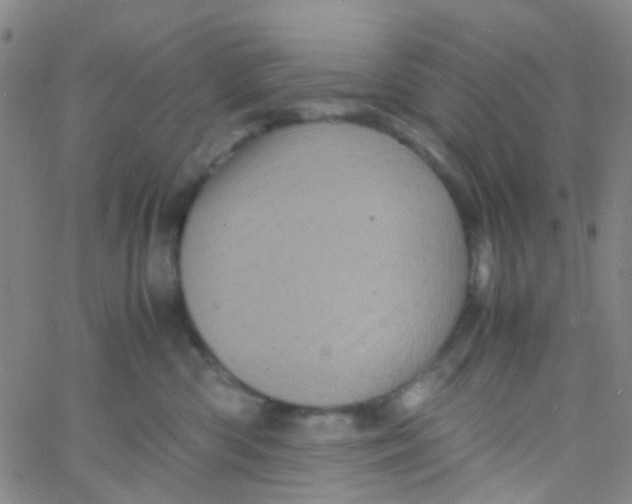 X0000061760426200512231556