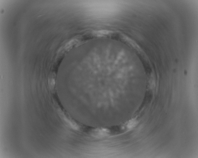 X0000061760427200512231556