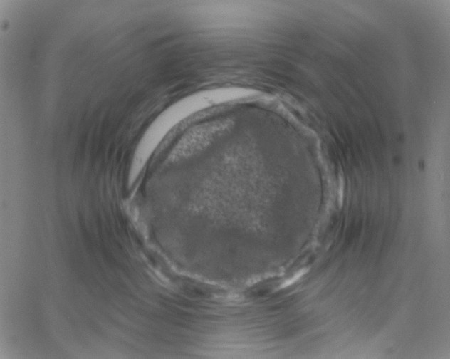 X0000061760428200512231556