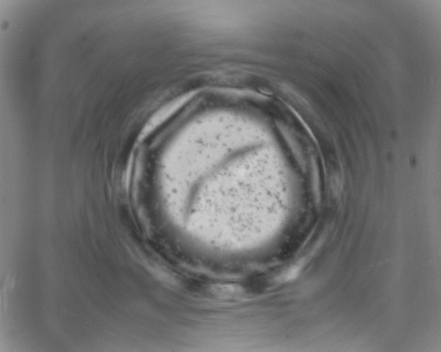 X0000061760429200512231556