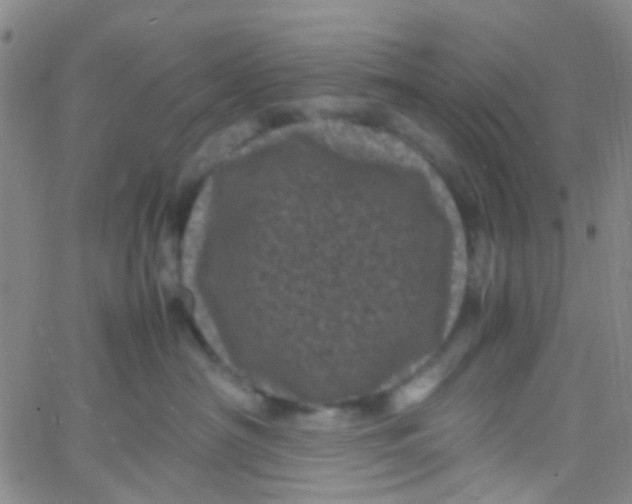 X0000061760430200512231555