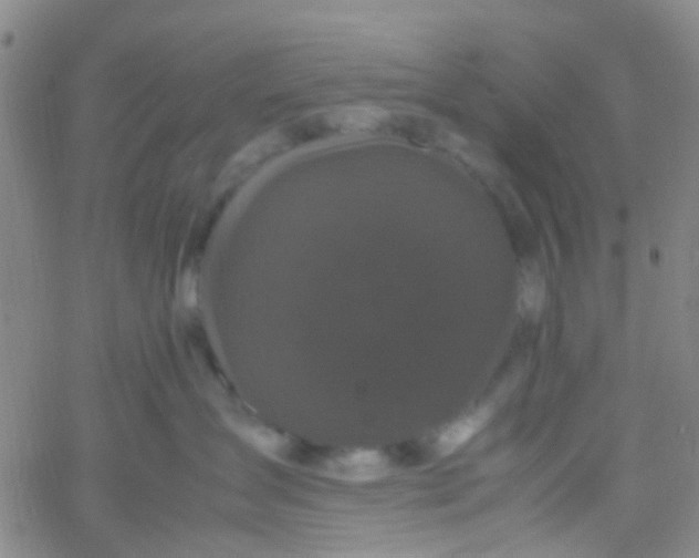 X0000061760431200512231555